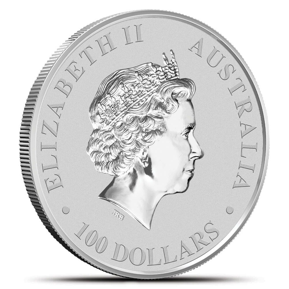 1 oz Australian Platinum Kangaroo Coin (Random Year) - Image 2