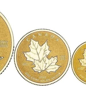 Buy 2019 Maple Bullion 4 Coin Set Boxed