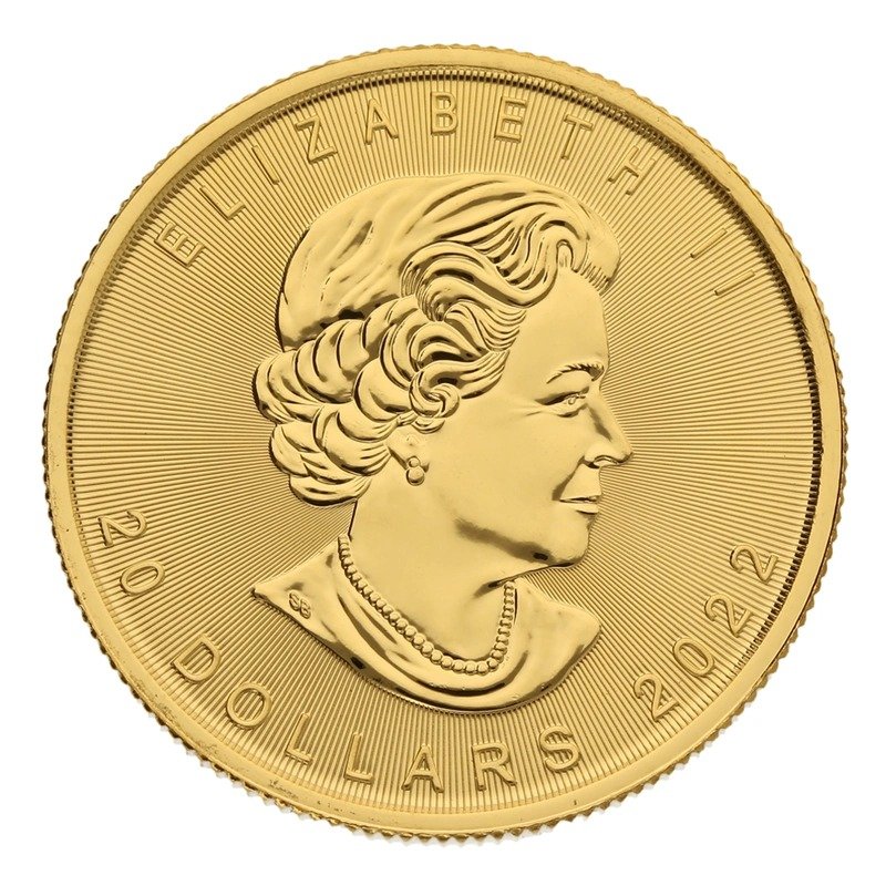2022 1/2 oz Canadian Maple Leaf Gold Coin - Image 2