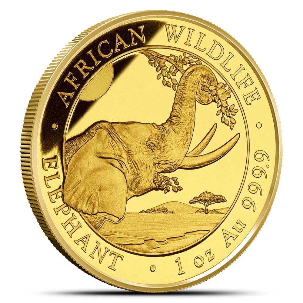 2023 Proof Somalia Gold Elephant African Wildlife Prestige Coin Set (Box + CoA) - Image 3