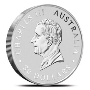2025 1 Kilo Australian Silver Kookaburra Coin (BU)